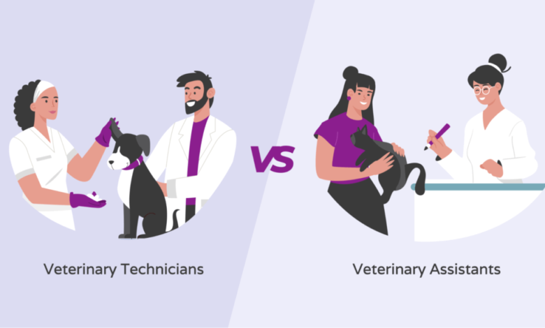 is vet tech and vet assistant the same