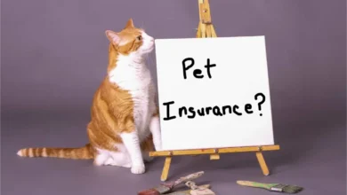 my pet protection plan 70 nationwide cats