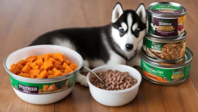 Best Food for 2 Months Old Siberian Husky