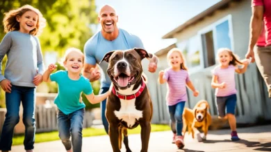 pitbull-dog-care-guide-tips-tricks