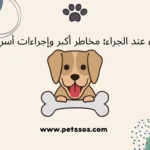 القيء عند الجراء مخاطر أكبر وإجراءات أسرع