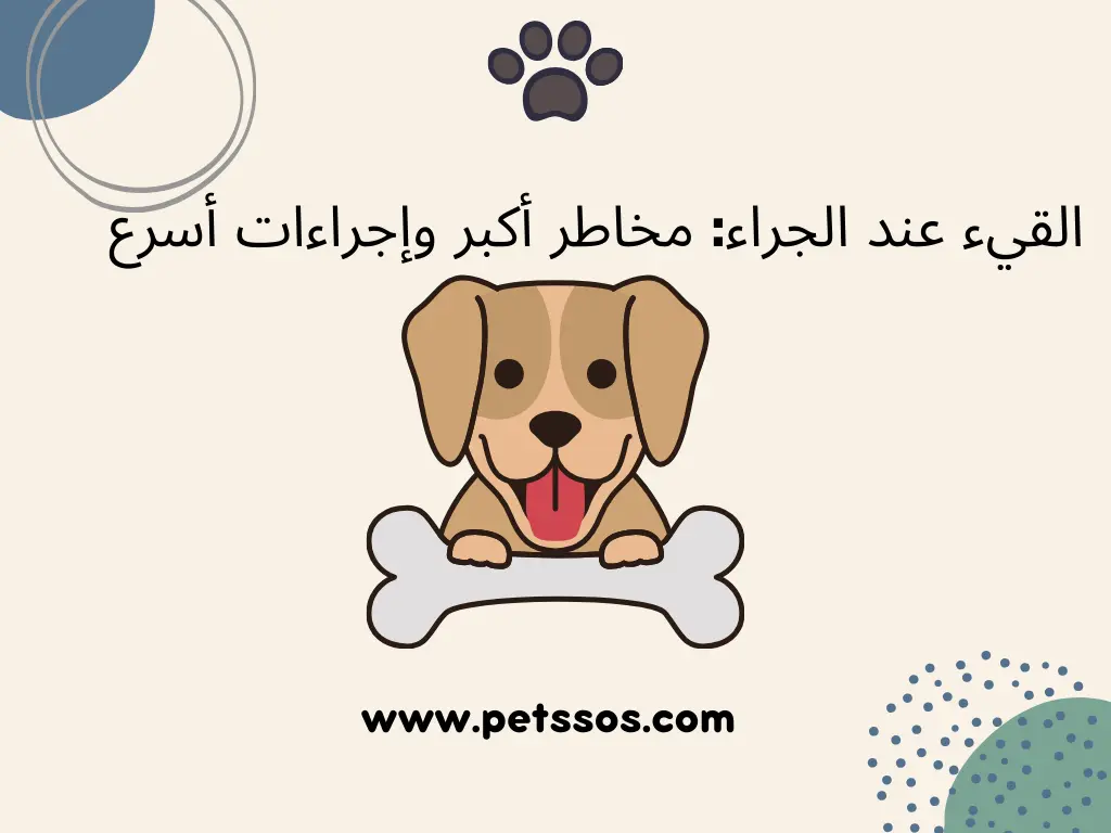 القيء عند الجراء مخاطر أكبر وإجراءات أسرع