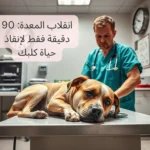 انقلاب المعدة 90 دقيقة فقط لإنقاذ حياة كلبك